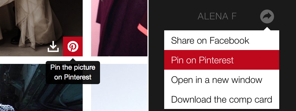 Pin the picture on Pinterest (button)